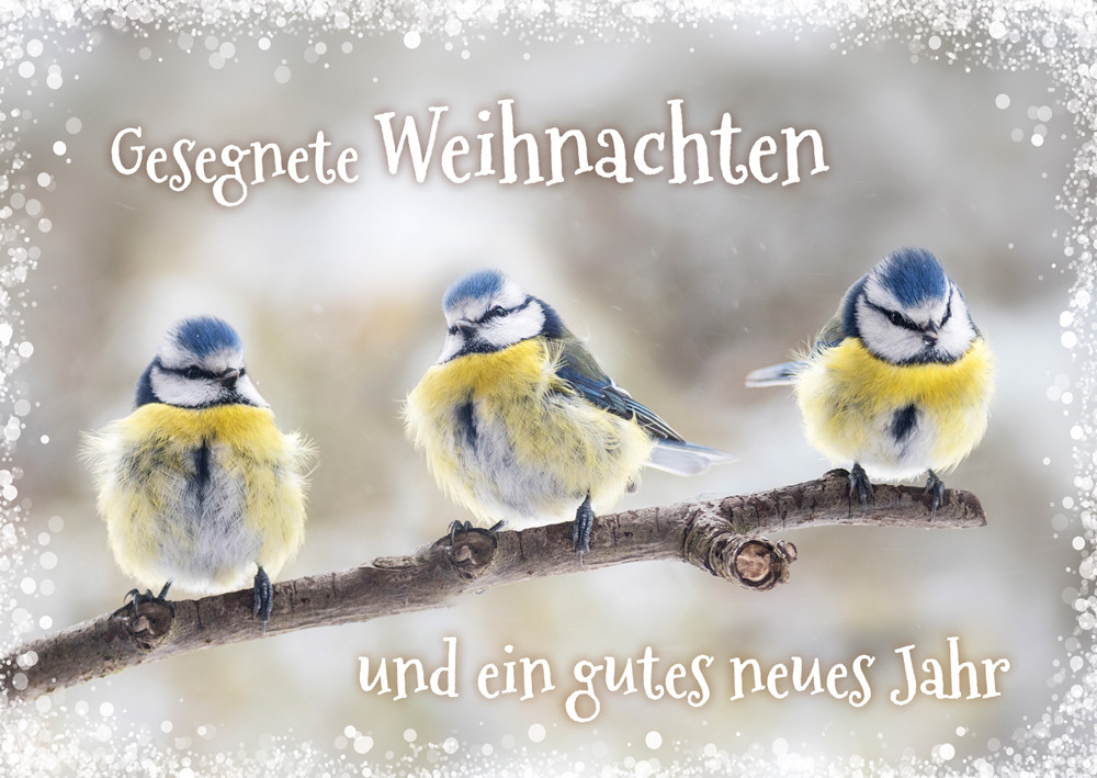 Postkarte Weihnachten Drei Meisen - 12 Stück pro Päckchen