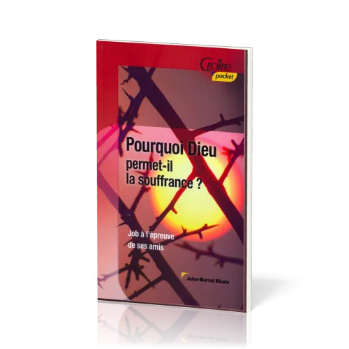 Pourquoi Dieu permet-il la souffrance? - Job à l'épreuve de ses amis