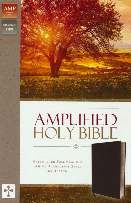 Englisch, Bibel, Amplified, Fibroleder, schwarz, Griffregister