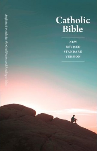 Englisch, Bibel New Revised Standard Version, kartonniert, illustrierter Einband