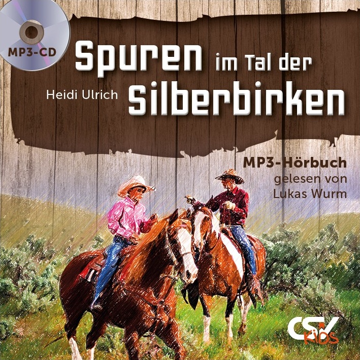 Spuren im Tal der Silberbirken (Hörbuch MP3-CD)