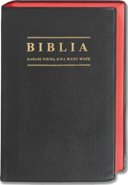 Suaheli, Bibel mit Apokryphen, gebunden, biegsam