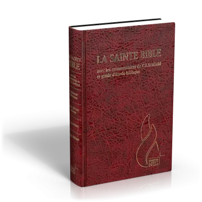 Segond NEG Studienbibel Scofield, französisch, granatrot - Hardcover, Vinyl