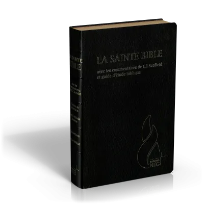 BIBEL NEG, SCOFIELD, FIBROLEDER SCHWARZ, GRIFFREGISTER, GOLDSCHN.