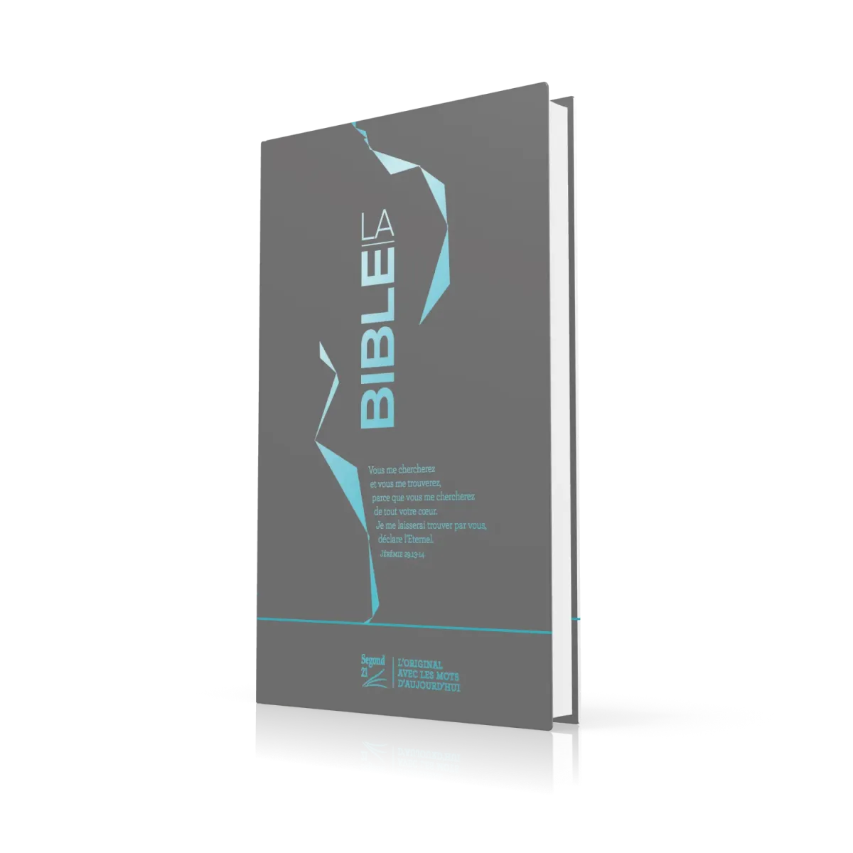 Segond 21 Slim Bibel, französisch, silberne Motive blau - Hardcover