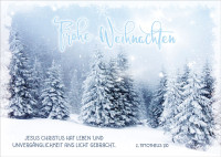 Postkartenbox Weihnachten Gesegnete Weihnachten - 12 verschiedene Postkarten in einer Box mit...