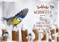 Postkartenbox Weihnachten Gesegnete Weihnachten - 12 verschiedene Postkarten in einer Box mit...