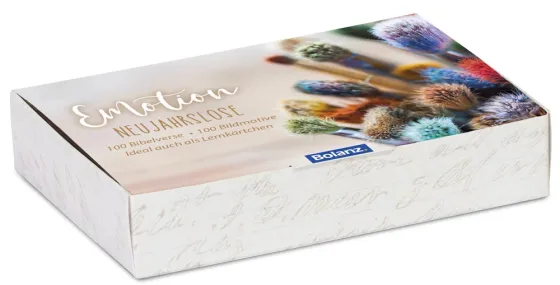 Neujahrslose 100 Stück Emotion