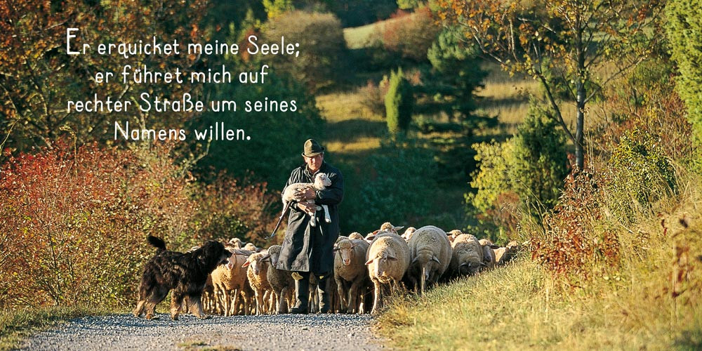 Grussheft mit CD Du hältst mich fest