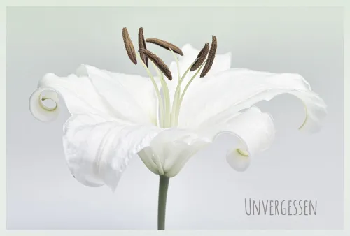 Doppelkarte Trauer Unvergessen SF