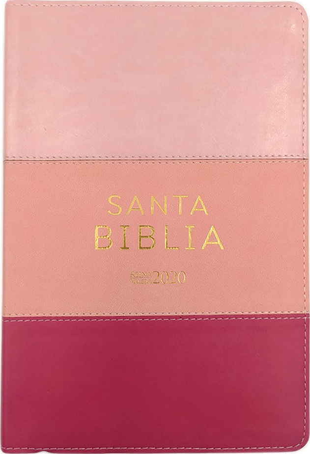 Spanisch, Bibel Reina Valera 2020,Grossschrift, Kunstleder, camaieu rosa