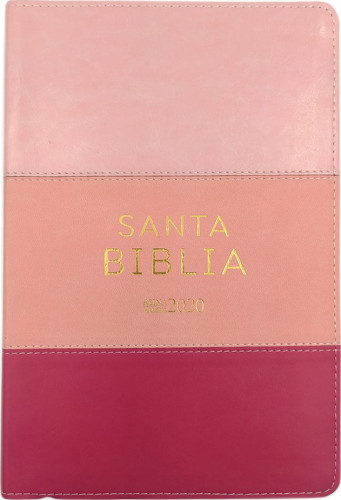 Spanisch, Bibel Reina Valera 2020,Grossschrift, Kunstleder, camaieu rosa