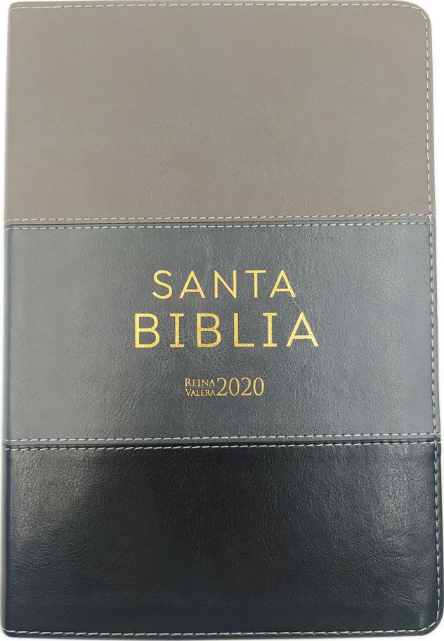 Spanisch, Bibel Reina Valera 2020, Grossdruck, Kunstleder, camaieu grau, Goldschnitt