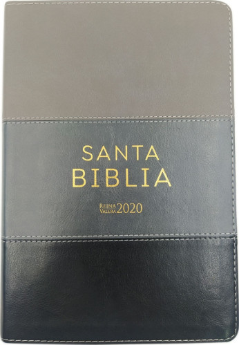 Spanisch, Bibel Reina Valera 2020, Grossdruck, Kunstleder, camaieu grau, Goldschnitt