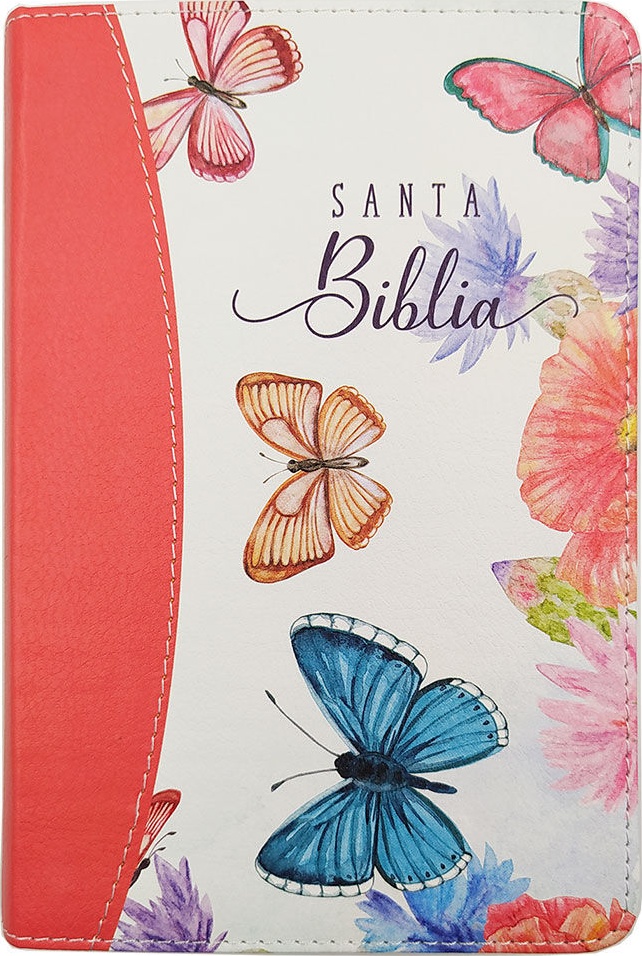 Spanisch, Bibel Reina Valera 2020, Kompakt, Grossdruck, Kunstleder/Stoff, korallenrot, bemalte...