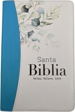 Spanisch, Bibel Reina Valera 1960, Grossschrift, zweifärbigweiss/türkis, Einband mit...