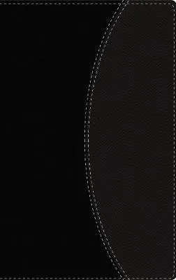 Spanisch, Bibel Nueva Versión Internacional, ultradünn, schwarz, Goldschnitt