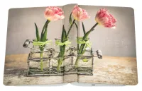 Bibel Schlachter 2000, Taschenausgabe - Motiv Tulpe - Parallelstellen - neue Rechtschreibung -...