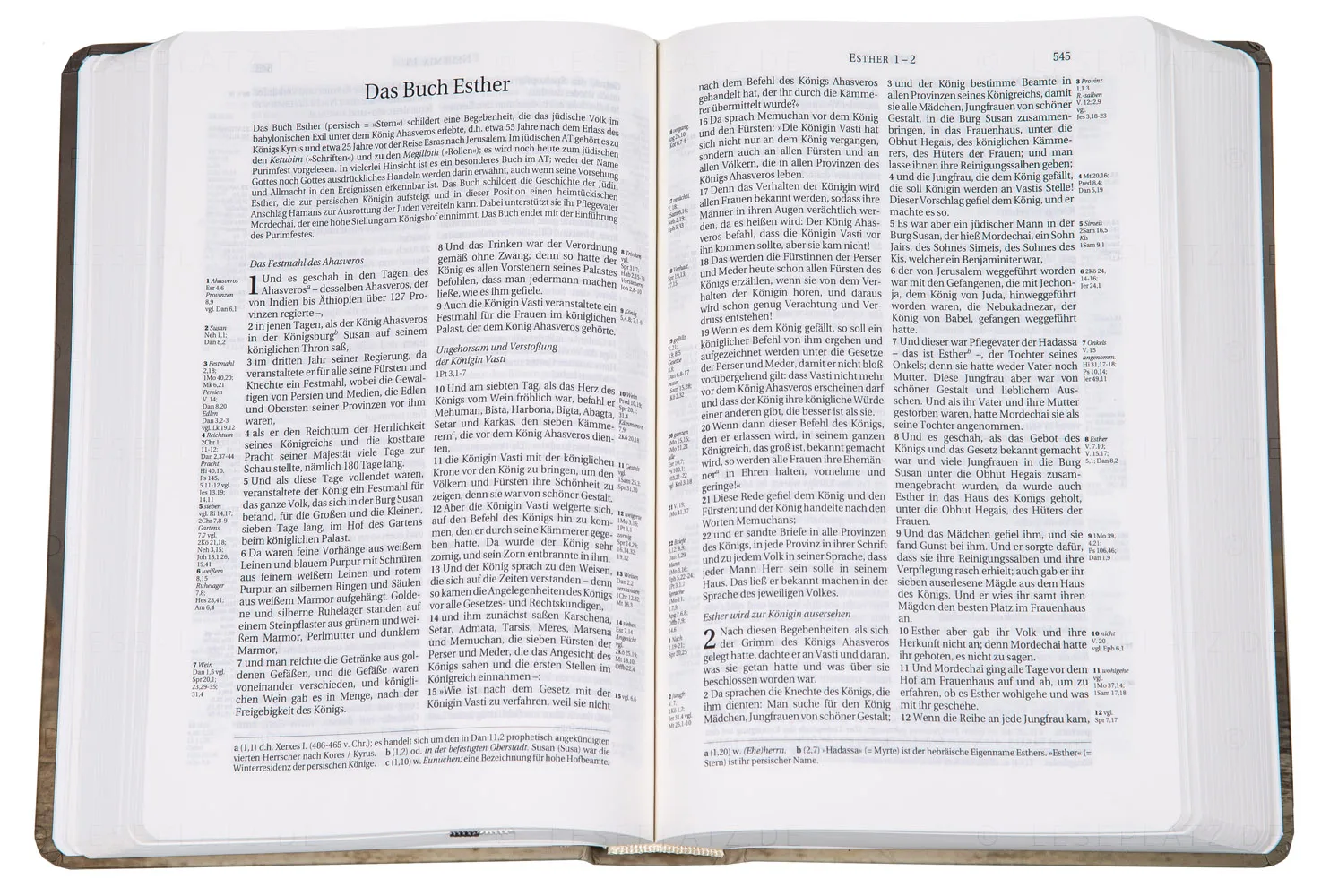 Bibel Schlachter 2000, Taschenausgabe - Motiv Tulpe - Parallelstellen - neue Rechtschreibung -...