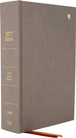 Englisch, Bibel NET, kartonniert/Stoff, grau