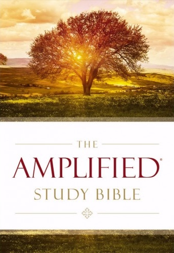 Englisch, Studienbibel Amplified, Grossdruck, kartonniert, illustrierter Einband