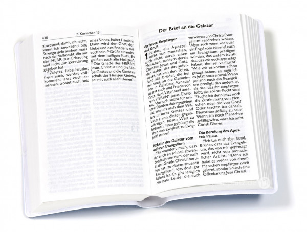Die Bibel - Neues Testament mit Psalmen und Sprüchen - Luther.heute