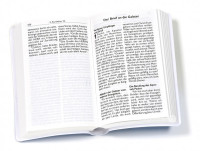 Die Bibel - Neues Testament mit Psalmen und Sprüchen - Luther.heute