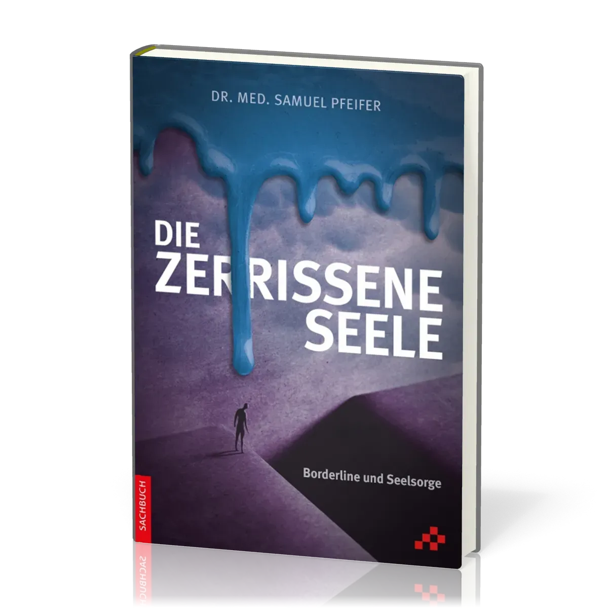 Die zerrissene Seele - Borderline und Seelsorge