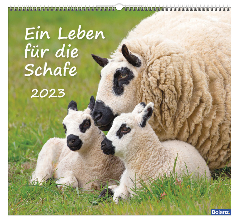 Kalender Ein Leben für die Schafe - Wandkalender