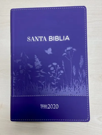 Spanisch, Bibel Rreina Valera 2020, Kunstleder, lila mit Feldgras-Motive, Grossschrift, Goldschnitt