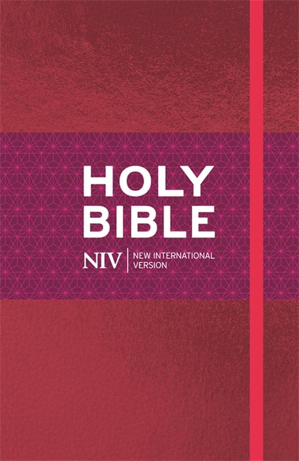Englisch, Bibel New International Version, Thinline, rot