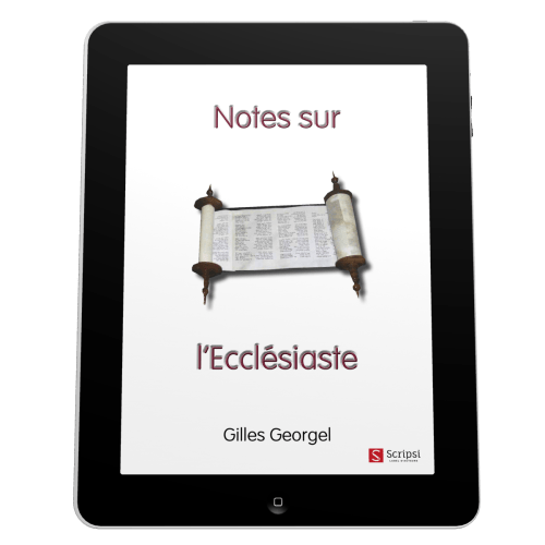 Notes sur l'Ecclésiaste - EBOOK