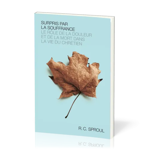 Surpris par la souffrance - Le rôle de la douleur et de la mort dans la vie du chrétien