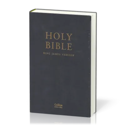 Englisch, Bibel King James Version, Leder, schwarz, Goldschnitt