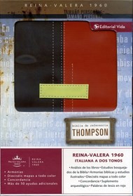 Spanisch, Thompson Studienbibel Reina Valera 1960, zweifarbig braun/orange