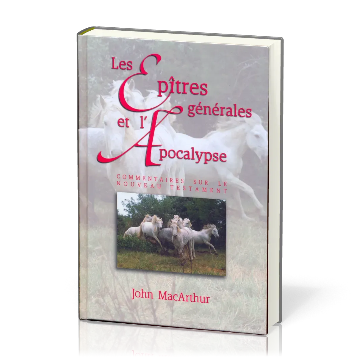 Épîtres générales et l'Apocalypse (Les) - Commentaires sur le Nouveau Testament - vol. 4