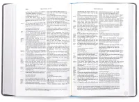 Bibel Schlachter 2000 Taschenausgabe mit Parallelstellen, farbiger Einband hellblau/grau /...