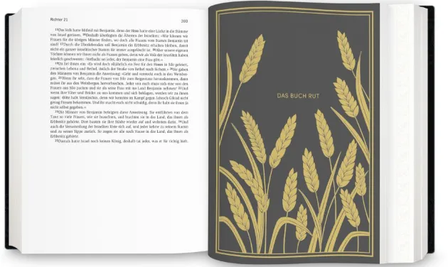 Neues Leben, Bibel - Golden Grace Edition - Einspaltig - gebunden, Gewebeinband, Marineblau