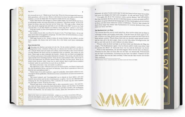 Neues Leben, Bibel - Golden Grace Edition - gebunden, Gewebeinband, Tintenschwarz